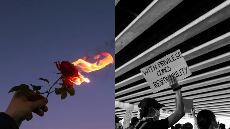 Split image composition: on the left, a burning rose symbolizing destruction and transformation; on the right, a public demonstration with people protesting in an urban setting.