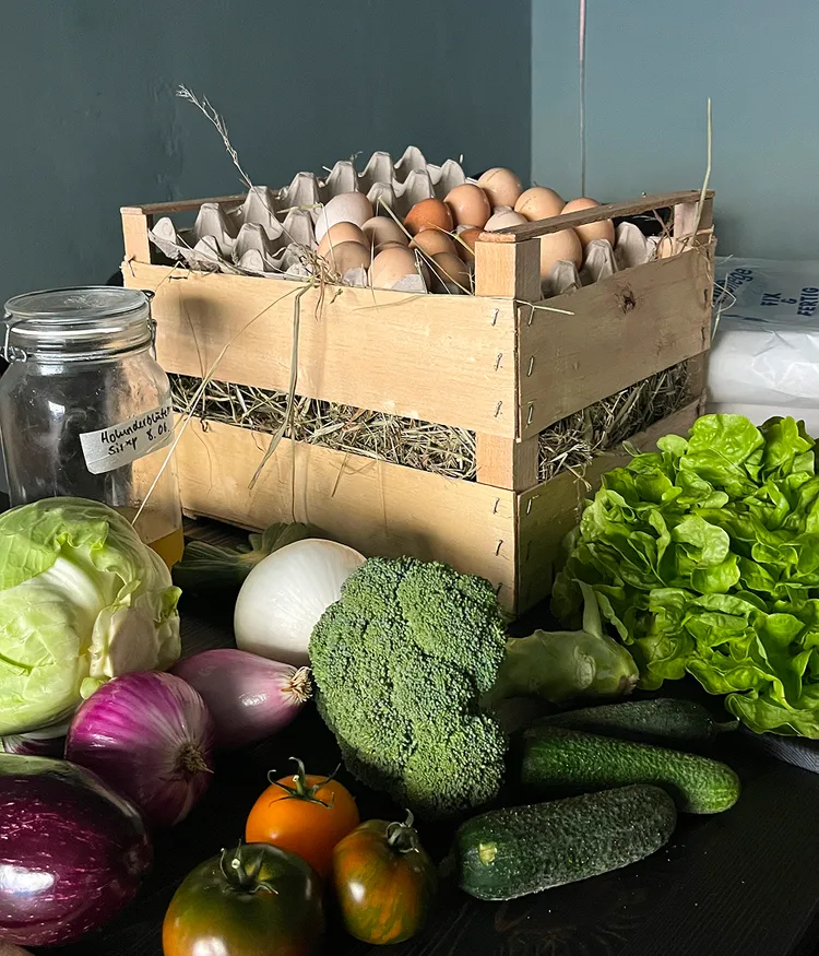 Frisch geliefertes Gemüse, Eier und Eingelegtes hübsch angerichtet auf einem Tisch