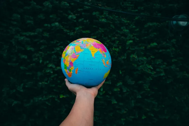 Unsplash image for forest path minimal lines calm nature texture