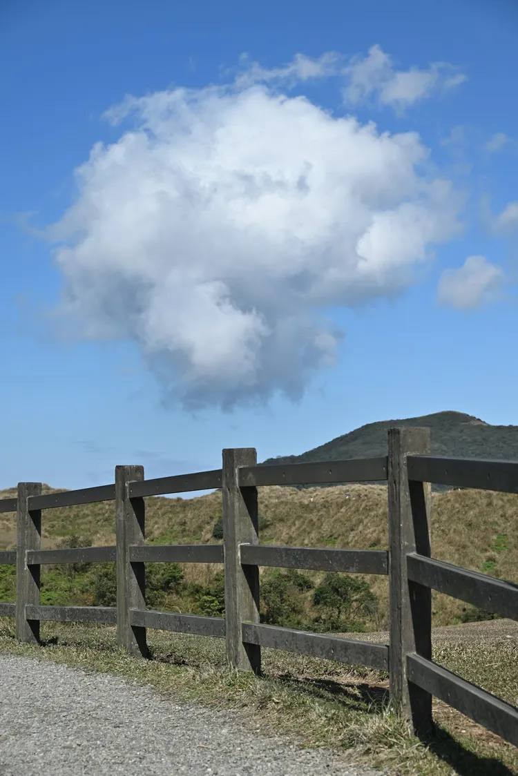 Unsplash-bilde for bærekraftige nettsteder: Effekt, målbarhet, implementering